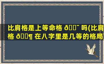比肩格是上等命格 🐯 吗(比肩格 🐶 在八字里是几等的格局)